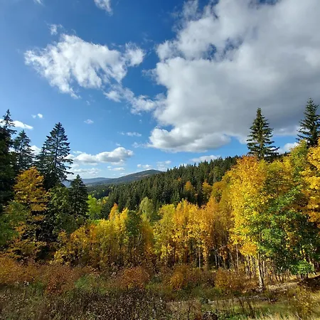 Near Villa Rokytnice nad Jizerou