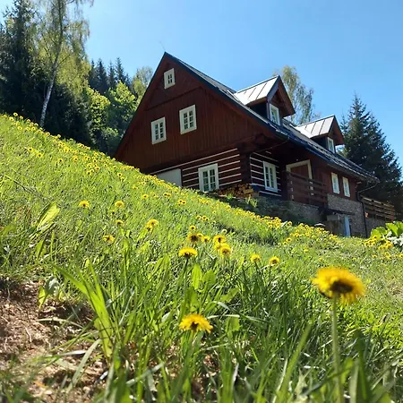 Near Horni Domky Villa *